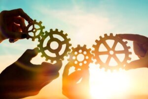 De kenmerken van menselijke ontwikkeling