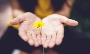 Wat is posttraumatische groei door pijnlijke ervaringen?
