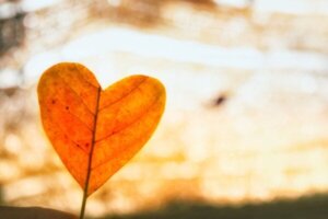 Onvoorwaardelijke liefde gebruiken om een relatiebreuk te boven te komen