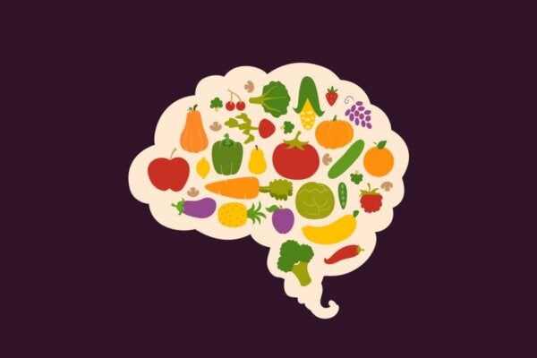 Je hersenen en eten: gezond eten is niet zo eenvoudig als het lijkt
