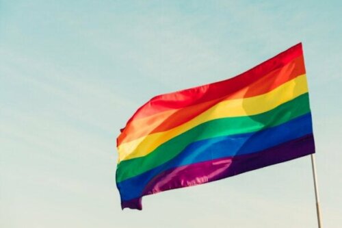 Wat is LGBTIQ+ en hoe is het begonnen?