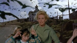 The Birds: ornithofobie loslaten