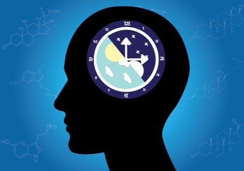 Wat zijn circadiane ritmes en hoe werken ze?