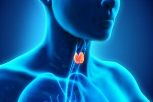 Psychoneuroimmunologie en schildklierhormonen: hoe zijn ze gerelateerd?