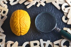 Experimentele psychologie