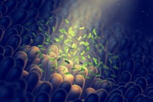 Microbiota en depressie: hoe zijn ze gerelateerd?