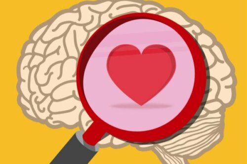 Praktische emotionele intelligentie: oxytocine versus cortisol