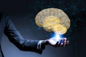 Neuroleiderschap: neurowetenschap en organisatorische vaardigheden combineren