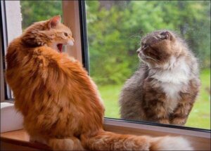 Moet je je vijanden dichtbij je houden?