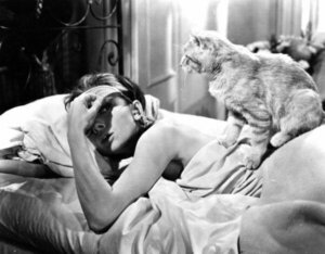 's Ochtends je bed opmaken kan slecht zijn voor je gezondheid