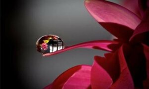 9 dingen die we moeten onthouden over het leven