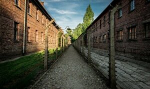 Een fantastisch liefdesverhaal te midden van de verschrikkingen van Auschwitz