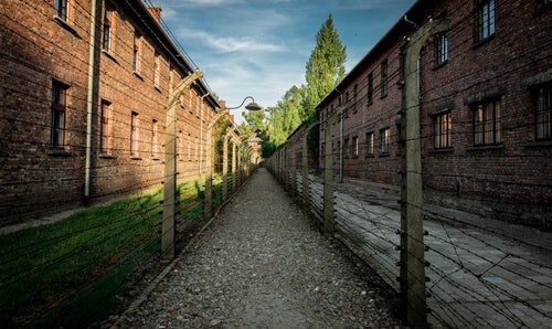 Een fantastisch liefdesverhaal te midden van de verschrikkingen van Auschwitz