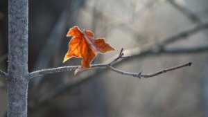 Depressie en lijden in stilte