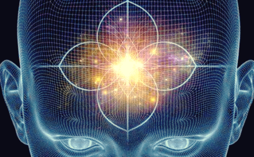 De hypofyse en pijnappelklier: functies en kenmerken