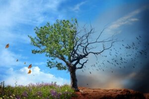 Het belang van de staat van het milieu