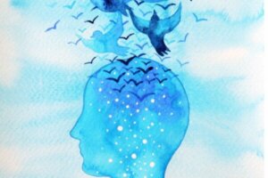 De zes soorten bewustzijn