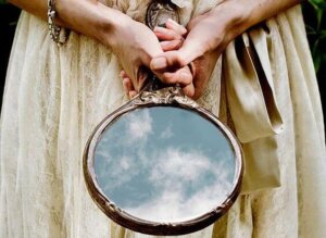 Vijf kenmerken van giftige families