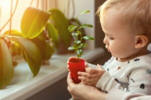 Cognitieve flexibiliteit bij baby's: kenmerken en hoe het te verbeteren
