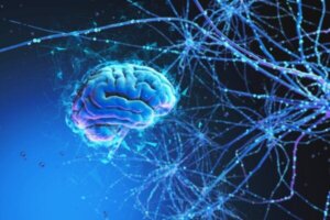 Het brein en het heelal delen veel gemeenschappelijke kenmerken