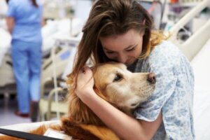 Dierentherapie en de voordelen ervan