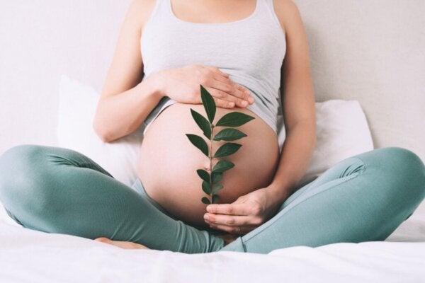 Kunnen baby's de emoties van hun moeder in de baarmoeder voelen?
