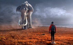 Je houding tegenover je problemen definieert jou