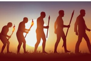 Sociaal Darwinisme: overleven van de sterkste