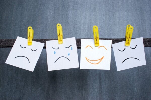 Het verband tussen emoties en gevoelens