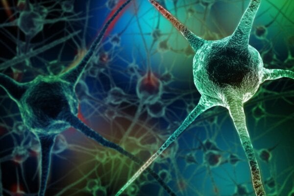 Acht gewoonten die neuronen doden