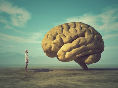 Het morele brein: de neuronale basis voor ethiek en menselijke waarden