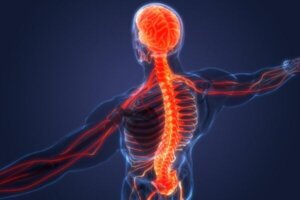 Sympathische en parasympatische zenuwstelsels