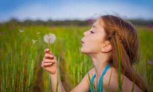 De kostbare legende van de paardenbloem