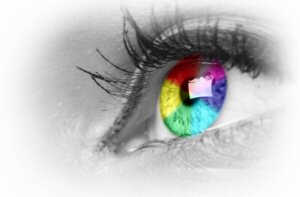 Tetrachromaten zien het leven in 100 miljoen kleuren