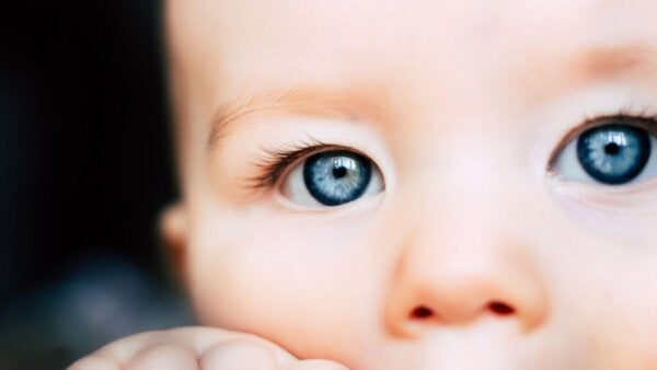 Perceptuele standvastigheid en wat baby's zien dat wij niet zien