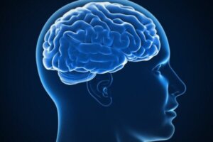 John Horn en zijn bijdragen aan de studie van intelligentie