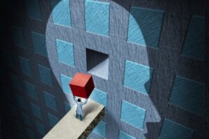 De emotional quotient inventory (EQ-i 2.0)