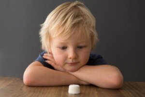 Het Stanford Marshmallow Experiment: onderzoek naar uitgestelde bevrediging