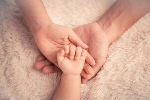 Het belang van de hechtingsband