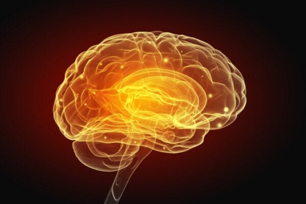 Schizofrenie en vasculaire aandoeningen van de hersenen