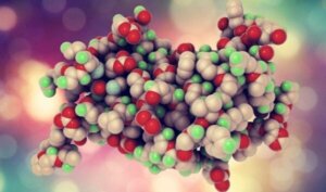 De functies van het groeihormoon (GH)