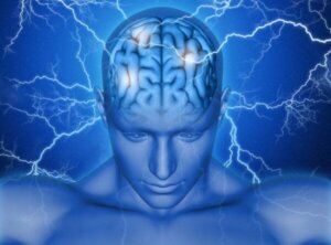 Het aanvullende motorische gebied van de hersenen