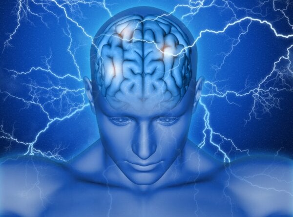 Het aanvullende motorische gebied van de hersenen