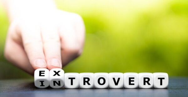 Waarom zijn sommige mensen extravert en anderen introvert?