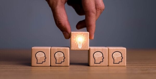 Het SCARF-model en neuroleiderschap