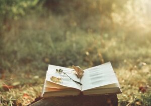 De magie van poëzie en hoe het pijn kan verlichten