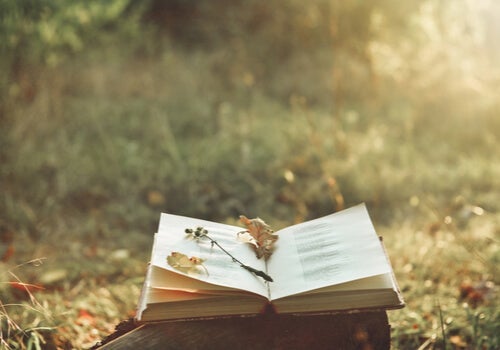 De magie van poëzie en hoe het pijn kan verlichten