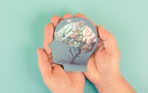 De vier universele behoeften van de mens