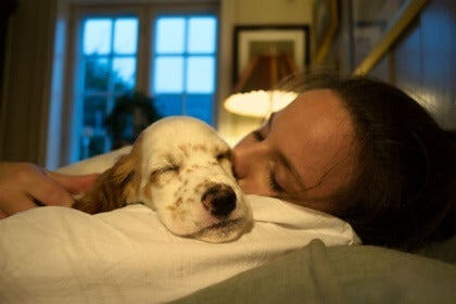 Slapen met je huisdieren: de voordelen en risico's voor de gezondheid