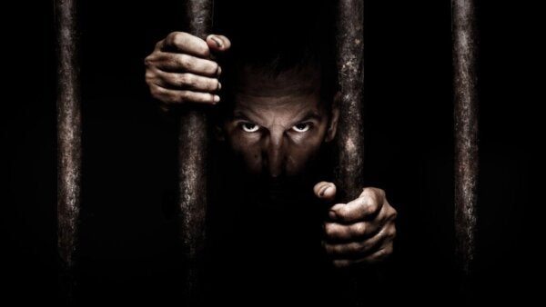 Is er een verband tussen psychopathie, agressie en recidive?